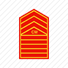 Chief Master Sergeant